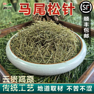贵州高山三针马尾松老品种新鲜马尾松叶现摘现发松叶马尾松针茶