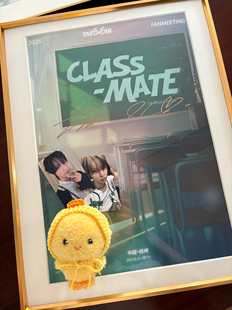 SHINEE李泰民泰玛丽手工钩织10cm棉花娃娃帽子毛线帽可爱