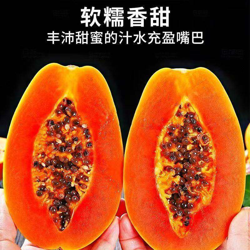树上熟红心木瓜应季新鲜水果产地直发青皮发货放置熟化后食用