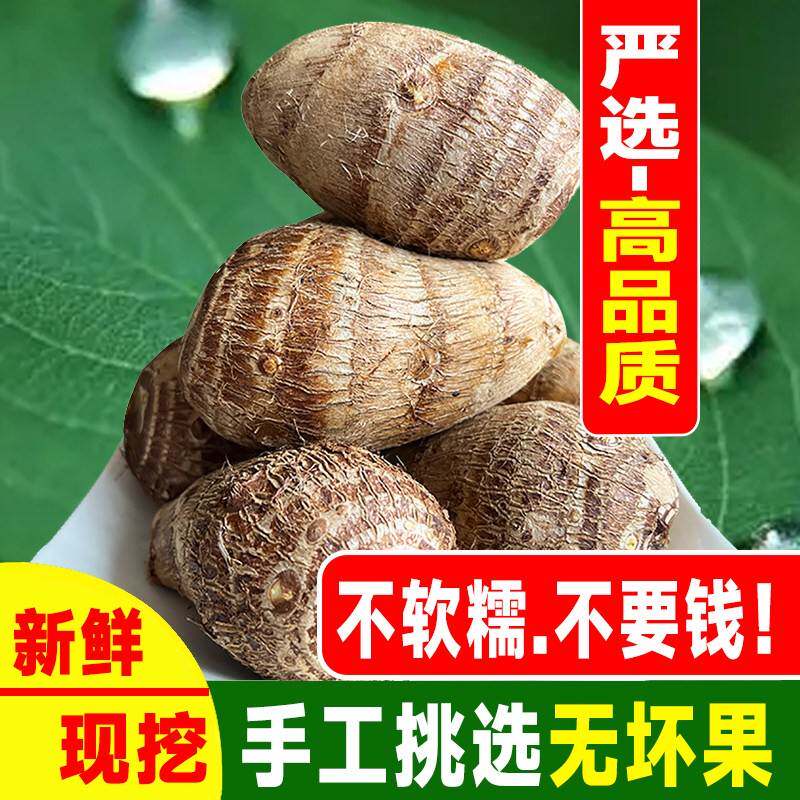 新鲜云南牛奶芋头农家种植圆润饱满奶香浓郁炖菜清蒸多种吃法芋头