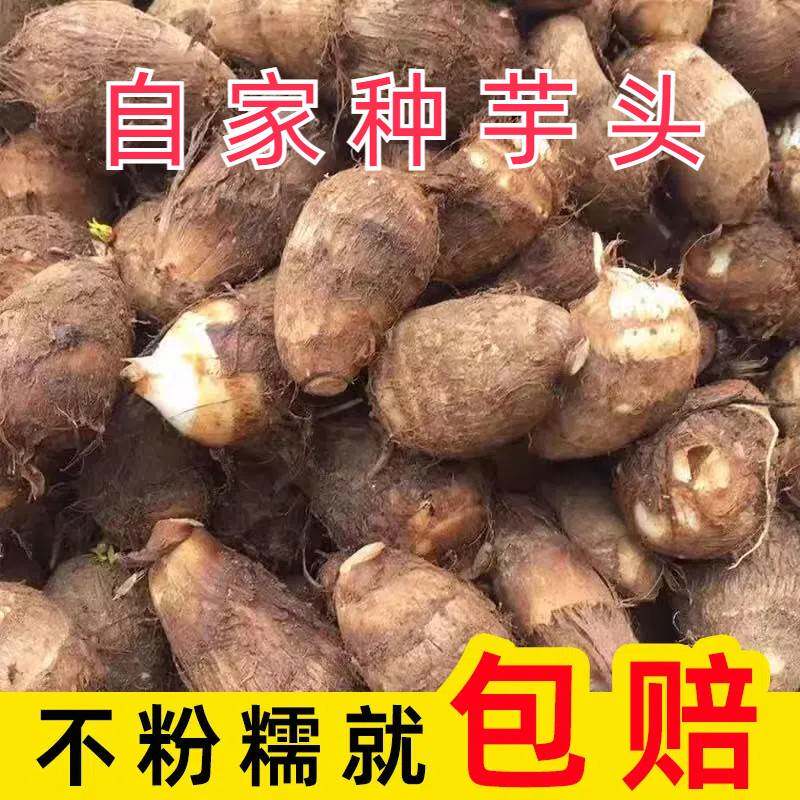 牛奶小芋头当季采收新鲜好芋绵密回甘全家都爱吃