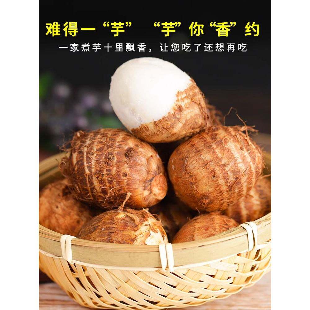 云南高原牛奶芋头农家采收肉质雪白绵密不干不涩适合代餐早餐芋艿