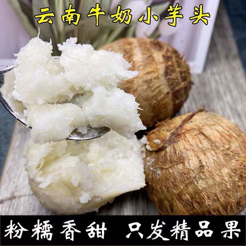 牛奶小芋头现挖带土发货肉质绵密自带奶香蒸食芋泥都合适