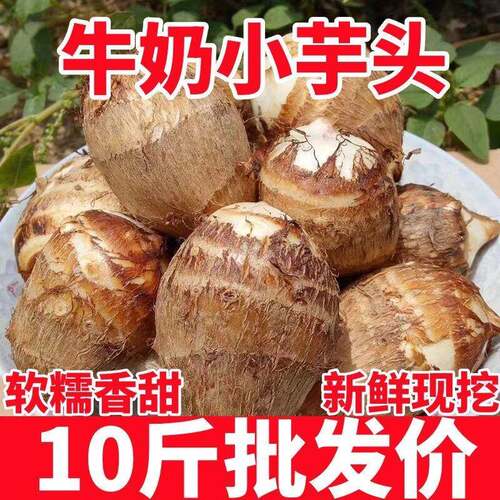 https://item.taobao.com/item.htm?id=1071255249342