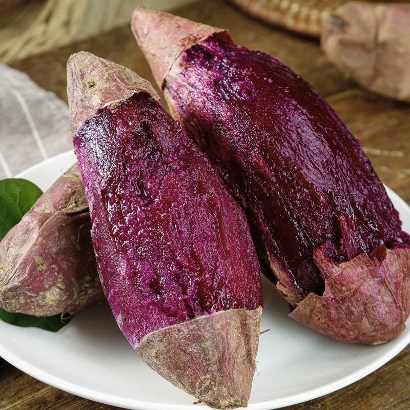 有机紫薯软糯香甜 无农残新货现挖农场直发宝宝辅食