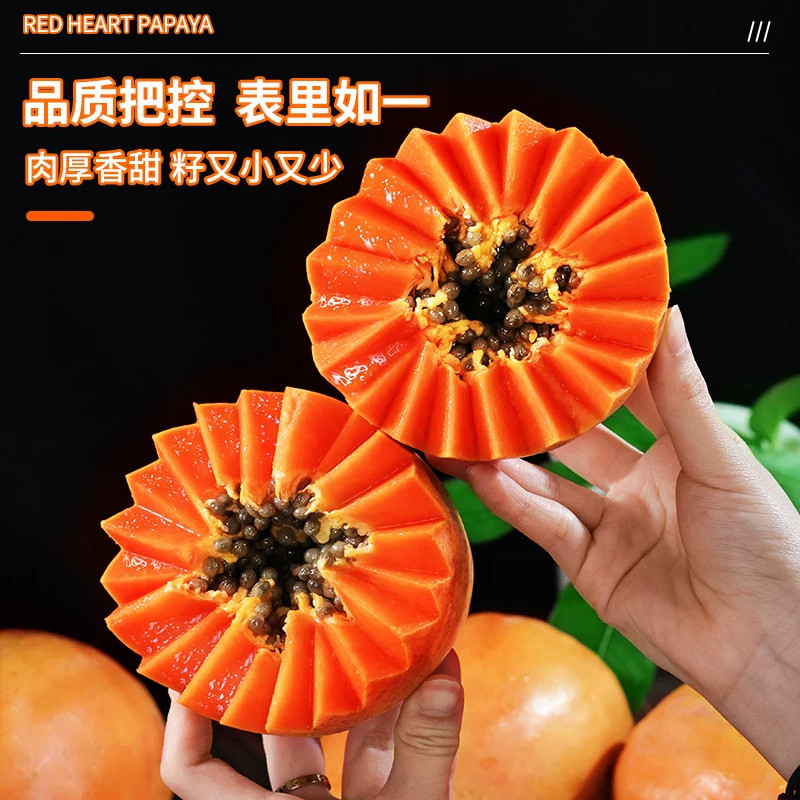 冰糖红心牛奶木瓜新鲜现摘产地直发树上自然熟果肉软糯多汁