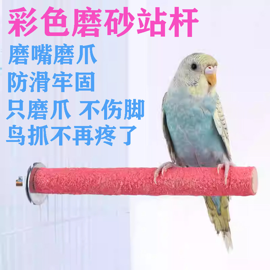 鸟用磨砂站杆鹦鹉磨爪磨牙站架