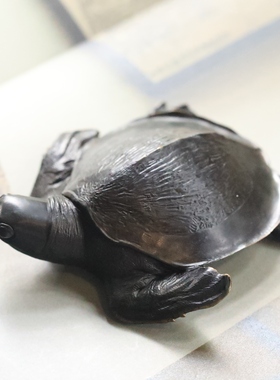 铁拳匠造 秋坞居 联合出品 青铜 猪鼻龟 手把件