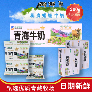 青藏牧场高品纯牛奶娟姗奶牛整箱200g*16袋儿童营养早餐青海牛奶