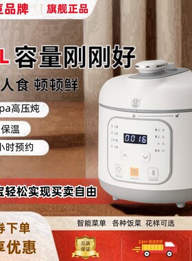 特小号电高压饭煲家用电压力锅迷