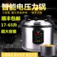 半球商用电压力锅正品 17L 65L大锅电饭煲饭店食堂酒店容量电高压