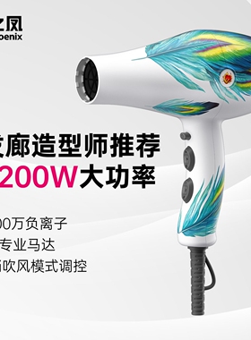 火之凤吹风机负离子护发8960家用风筒发型师专用发廊理发店速干