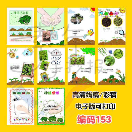 生菜成长手册电子线稿彩稿稿