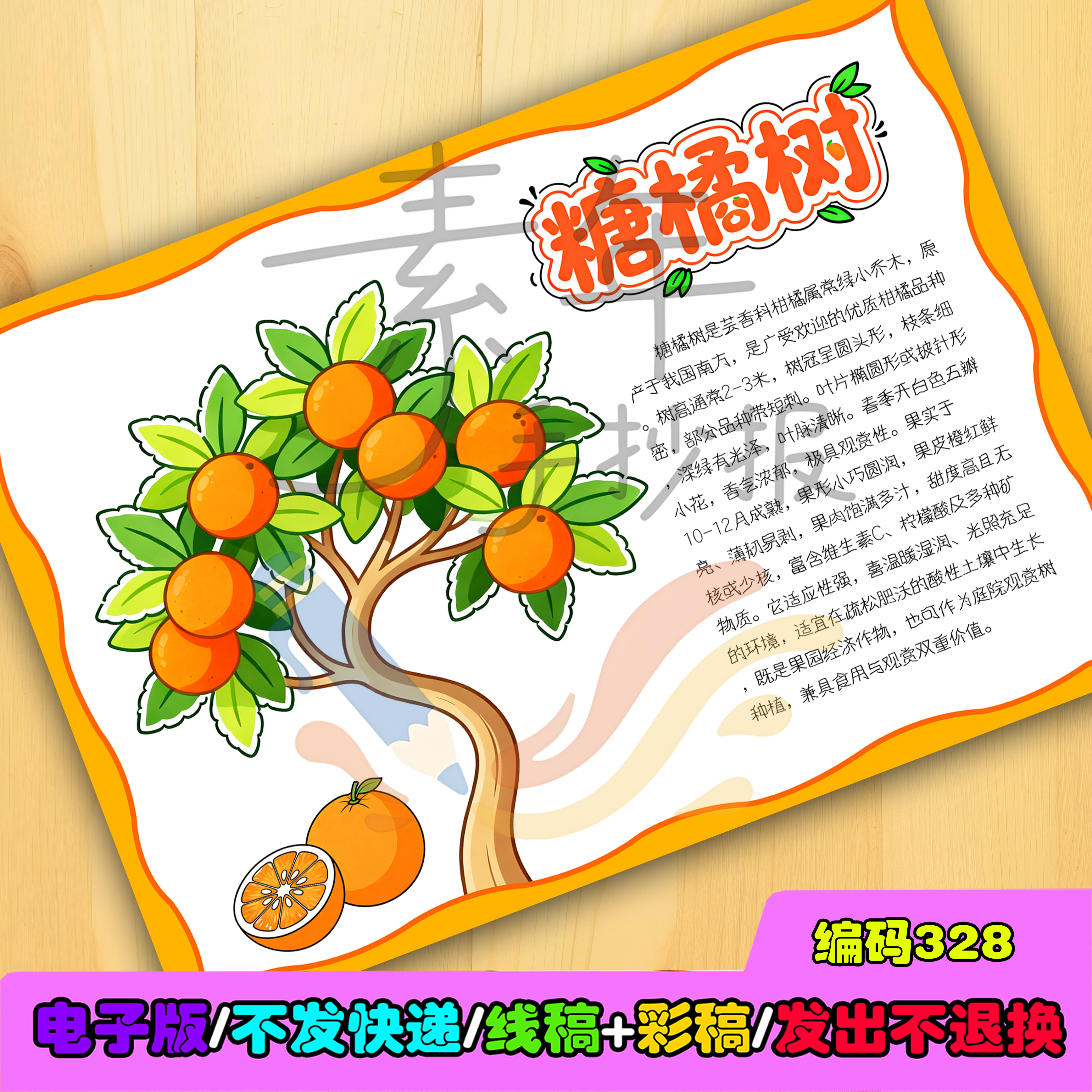 橘子树记录卡糖橘树身份证手抄报植物记录卡植物自然笔记 电子版