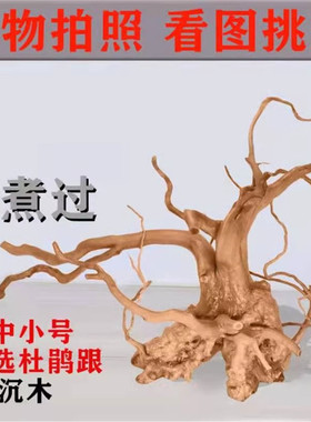 杜鹃根已煮 精品沉木成品树形枝条 水族鱼缸天然造景摆件装饰品