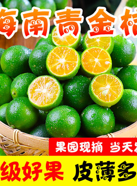 海南青金桔9斤小金桔青橘新鲜青皮桔子小青柠檬 奶茶店水果一整箱