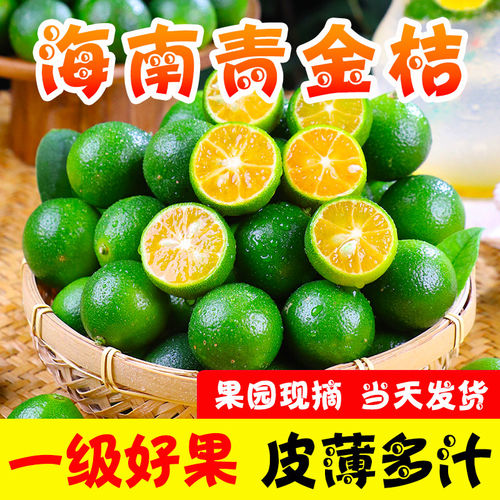金骐海南青金桔柠香四溢