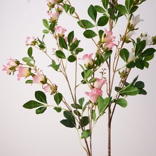 仿真花单枝九里香凌霄花假花家居装饰摆件花艺摆设摄影道具花材