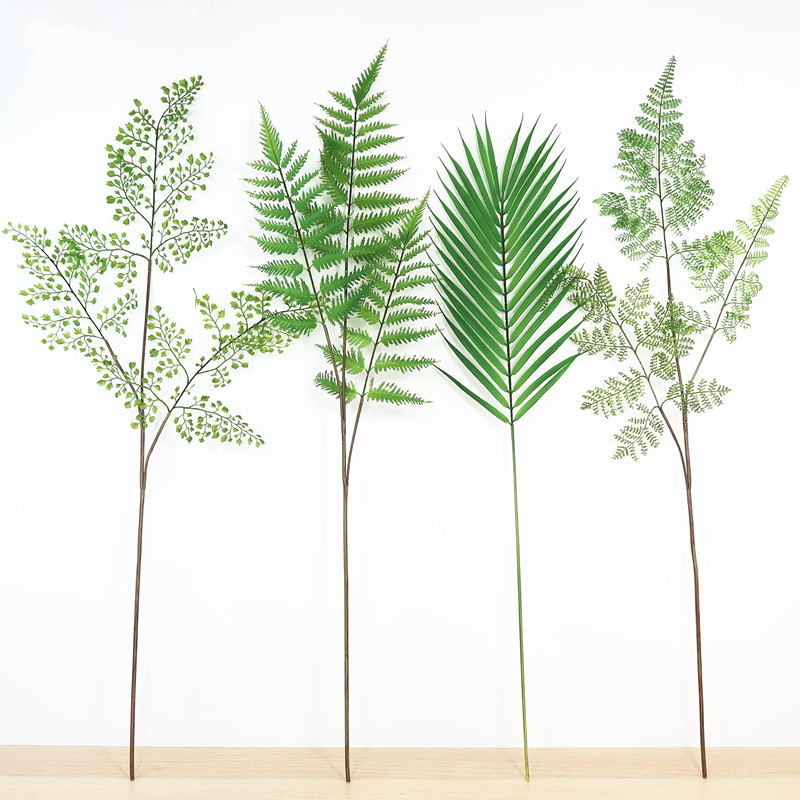 长款蕨类植物家居摆件文竹棕榈叶