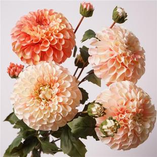 高品质4头珊瑚大丽花家居装饰插花配材婚庆拍摄摆件拍摄摄影假花