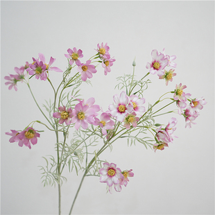 北欧ins风仿真花长款波斯菊卧室装饰花客厅茶几假花摆件花瓶插花