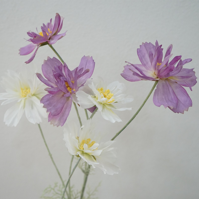 秋色系仿真花单枝波斯菊硫华菊家居装饰插花摆件软装陈设道具绢花