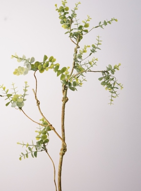 仿真尤加利叶绿色植物摆件家居装饰永生花DIY手工