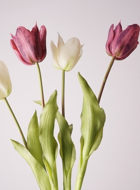 高品质仿真A213单枝开口郁金香仿真花束居家摆设花艺装饰品摄影花