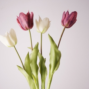 高品质仿真A213单枝开口郁金香仿真花束居家摆设花艺装 饰品摄影花