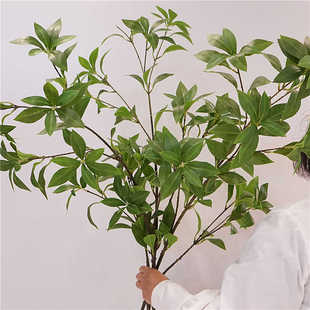 马醉木仿真绿植叶子造景摆设装饰假花仿真花拍照道具日本吊钟植物