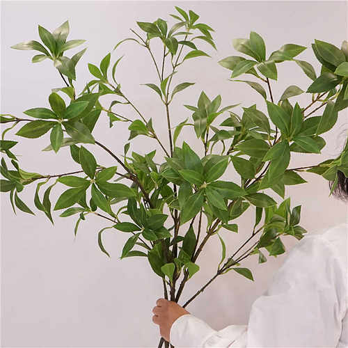 装饰日本吊钟植物马醉木造景