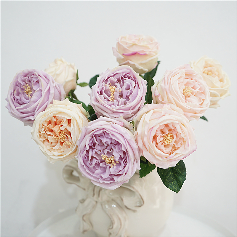 雪莉手感保湿玫瑰促销价