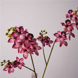 千鸟兰高品质家居玄关插花北欧假花韩式风千代兰绿色粉色婚庆花材