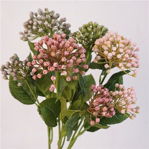 田园果实拍摄道具样板间仿真植物