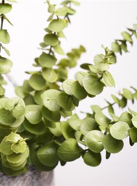 高品质仿真圆桉叶桉树叶尤加利枝绿植居家卧室台面插花花艺配件叶