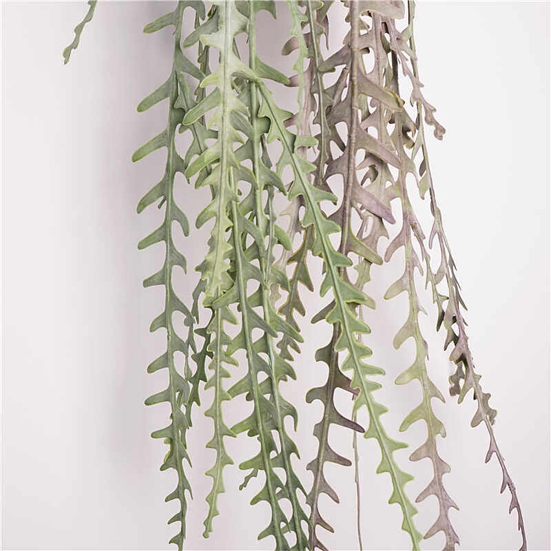 北欧风仿真绿植鱼骨令箭 婚礼花艺蕨芽藤圣诞节花环装饰 意境植物,家居饰品,仿真花/假花,淘宝优惠券,粉丝福利购,淘宝优惠卷