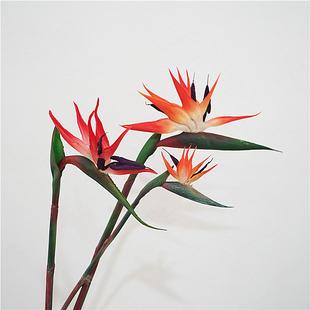 天堂鸟高品质手感仿真花艺单支鹤望兰家居装饰品软装插花摄影道具
