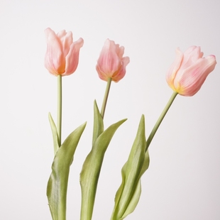 高品质手感软胶郁金香假花居家摆设花艺装 饰品摄影道具花材插花束