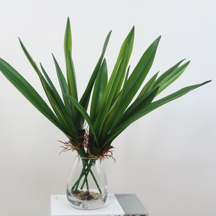 高仿真手感兰花叶蕙兰叶子餐厅软装插花配叶家居装饰盆栽植物假草