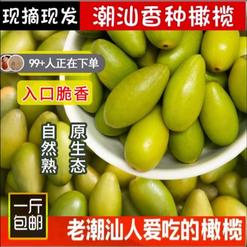 手工采摘口感脆橄榄青枣脆潮汕