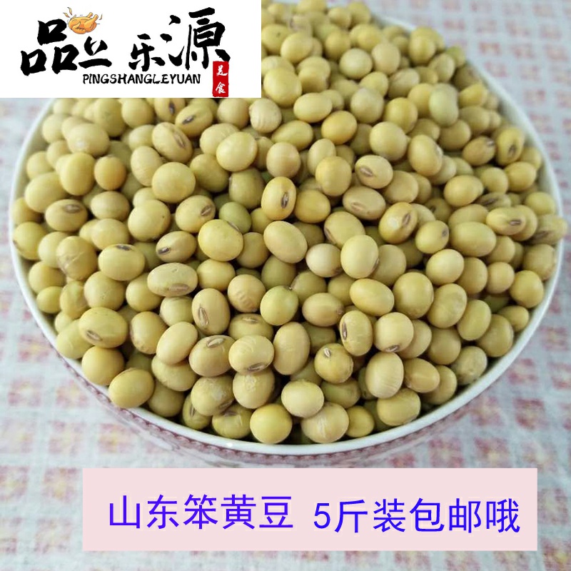 老黄豆椭圆形笨黄豆打豆浆专用可生豆芽黄豆5斤