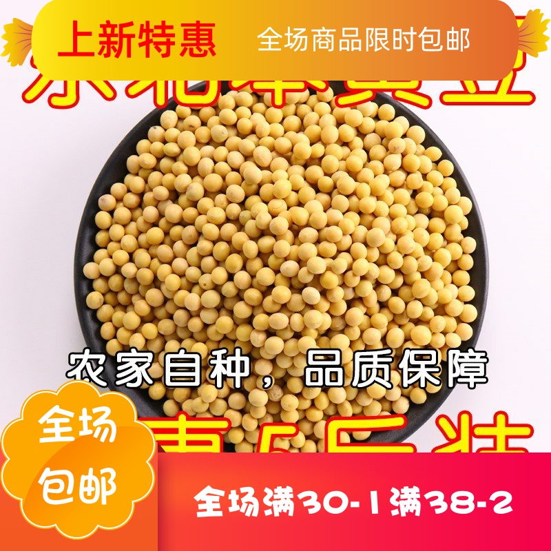 【5斤】新豆自产包邮东北小黄豆农家自种黑龙江打豆浆生豆芽散装