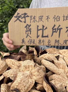 茶坑原枝农家生晒干仓新会陈皮干大红皮358十年柑二红广东特产