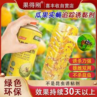 果得刚瓜果实蝇诱粘剂追踪剂柑橘大棚西瓜灭针蜂克星果实蝇引诱剂