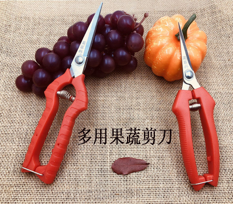 英菲科园艺修枝采果芽剪刀 修花稀果摘果剪葡萄剪水果蔬 疏果剪刀