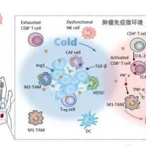 分子动力学模拟/互作模拟/分子对接/蛋白对接/分子对接/蛋白对接