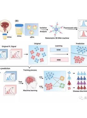 科研绘图封面信号通路医学SCI作图插画 机制图TOC摘要图画图 制图