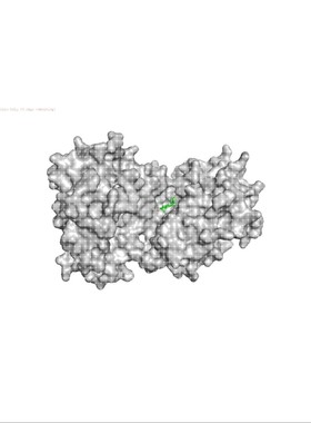 分子对接 分子动力学模拟 Autodock分子对接 PyMOL可视化