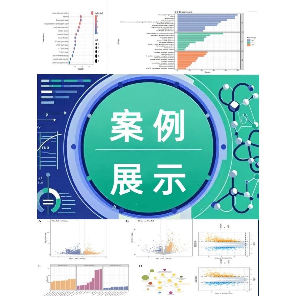 孟德尔/生信分析/单细胞转录组数据挖掘代谢组微生物蛋白测序分析