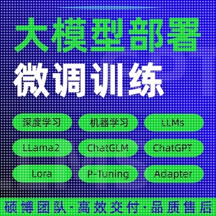 python代编程大模型微调训练Llama2环境配置代码 代跑深度学习指导